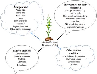 The potential of biostimulants on soil microbial community: a review